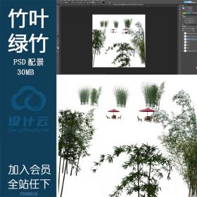 PS00016竹叶绿竹竹子psd分层素材ps源文件供效果图