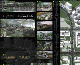 林荫道生态景观设计——郑州市银屏路地段林荫道设计