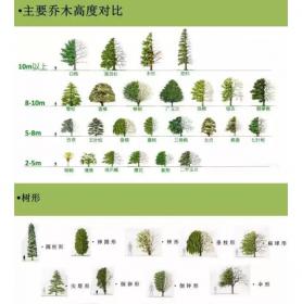 植物组团配置秘籍 · 超实用