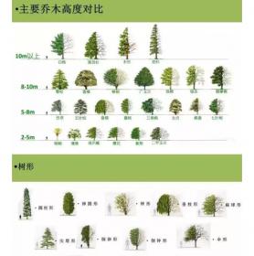 植物组团配置秘籍 · 超实用