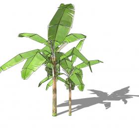 3D热带树 (4)