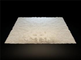 地毯3Dmax模型 (1)