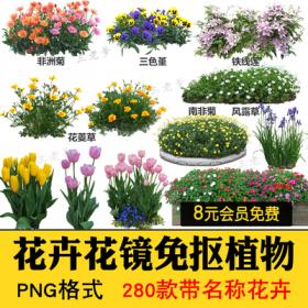 0529花卉植物procreate花镜 鲜花坛PS效果图PNG免抠高清带名称p...