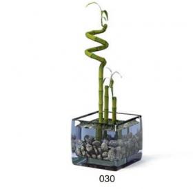 小型装饰植物 3Dmax模型. (30)