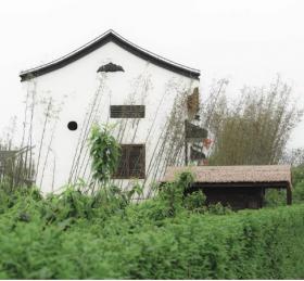 上海“乡村振兴示范村” – 吴房村 / 中国美术学院风景建...