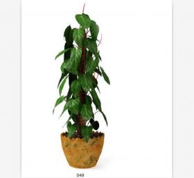 盆栽植物3Dmax模型第二季 (49)