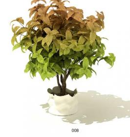 室内盆栽植物3Dmax模型 (8)