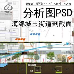 【6080】海绵城市街道剖截面分析图PSD合集
