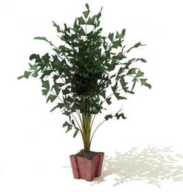 室内盆栽植物3Dmax模型 (16)