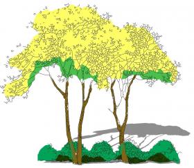 2D乔木SU模型 (143)