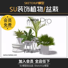 T937草图大师室内外盆景花草植物盆栽吊兰藤蔓艺术装饰品...
