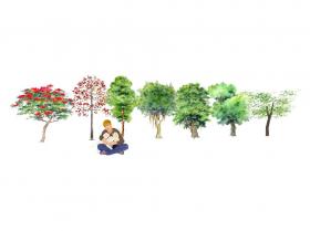 手绘植物 (107)