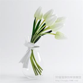 桌面花卉3Dmax模型 (25)