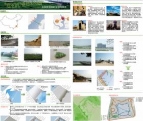 “行走于绿浪之巅”——洛阳桥湿地的治理与改造