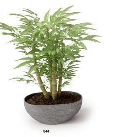 盆栽植物3Dmax模型 (44)