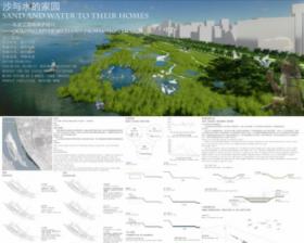 沙与水的家园——乌龙江湿地景观保护设计