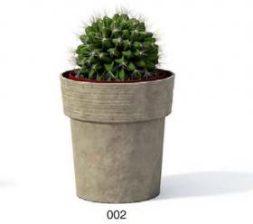 小型装饰植物 3Dmax模型. (2)