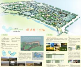 同大滨湖生态湿地景观规划设计