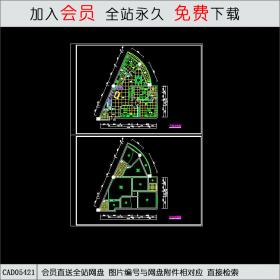 CAD05421三角房户型布置图.dwgCAD