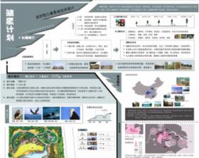 雏鹰计划——如鹰随行儿童友好型景观空间设计