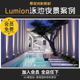 T1045-LUMION8.0场景参数文件泳池夜景效果动画滤镜案例参考...