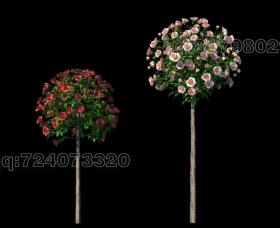 高精度花卉-玫瑰3D模型 (4)