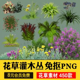 0571花草绿叶杂草水草灌木丛园林景观观赏植物png免抠透明...