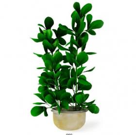 盆栽植物3Dmax模型第二季 (60)