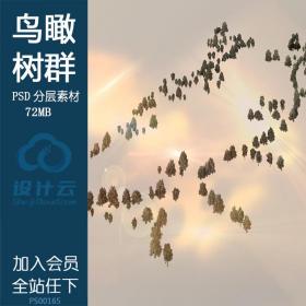 PS00165景观树群鸟瞰日景psd分层素材树木灌木树丛