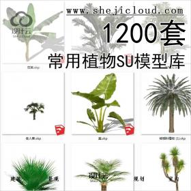 【第416期】1200套常用植物SU模型库丨免费领取