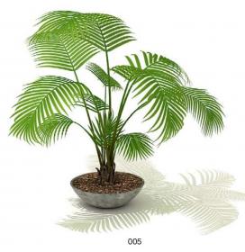 室内盆栽植物3Dmax模型 (5)