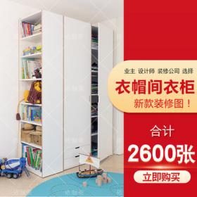 2043衣柜分隔板式家具设计卧室衣橱室内储物收纳装修效果...