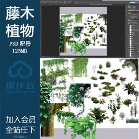 PS00014藤本植物灌木小树木ps源文件可编辑psd分层素材分析