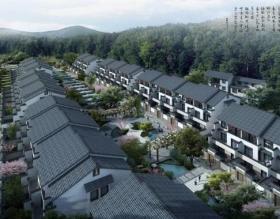 [福建]省某县宣和乡培田村村庄规划方案设计文本PPT（...