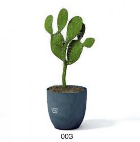 小型装饰植物 3Dmax模型. (3)