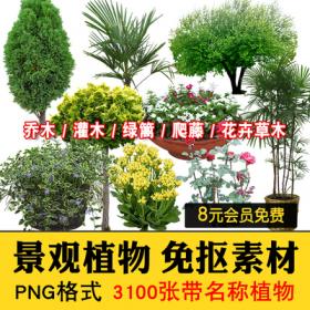 0509PS景观园林带名称植物乔木灌木PNG免抠花草树后期效果...