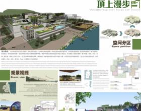 顶上漫步