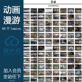 R302- lumion虚拟现实建筑规划景观室内设计方案动画漫游实...