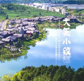 《大美小镇》15个典型的优秀案例