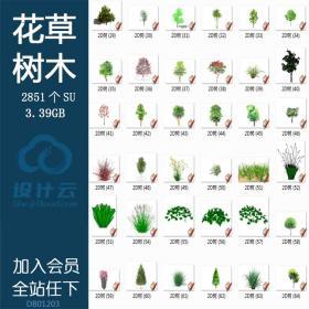 DB01203景观植物花草树木SU草图大师室内设计SketchUp精美家装...