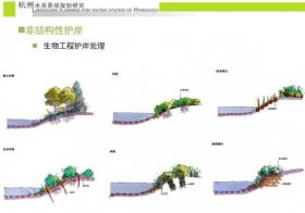 [浙江]某水系景观规划研究调查文本（125页）