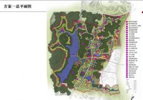 [重庆]某湖片区发展策略与概念性总体规划