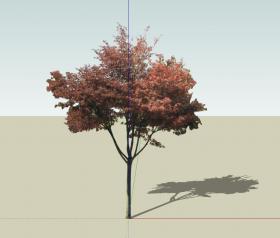 SU常用植物模型 (24)