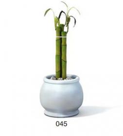 小型装饰植物 3Dmax模型. (45)