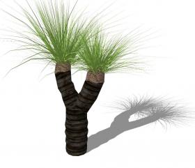 3D热带树 (11)