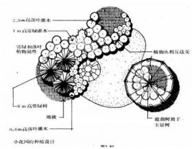 园林植物配置平面图学习资料，超级实用！