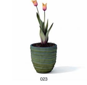 小型装饰植物 3Dmax模型. (23)