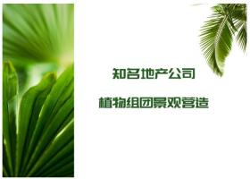 知名地产公司植物组团景观营造