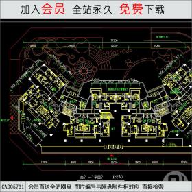 商场平面图，不错的哦 CAD