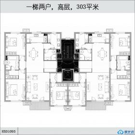 HX01093一梯两户，高层，303平米